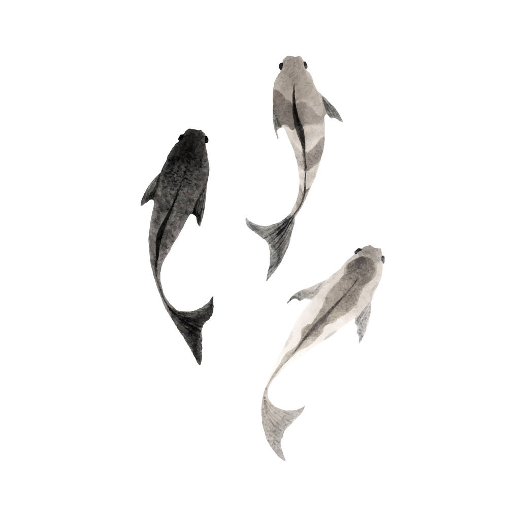 ilustración de tinta de pescado
 - Vector, Imagen