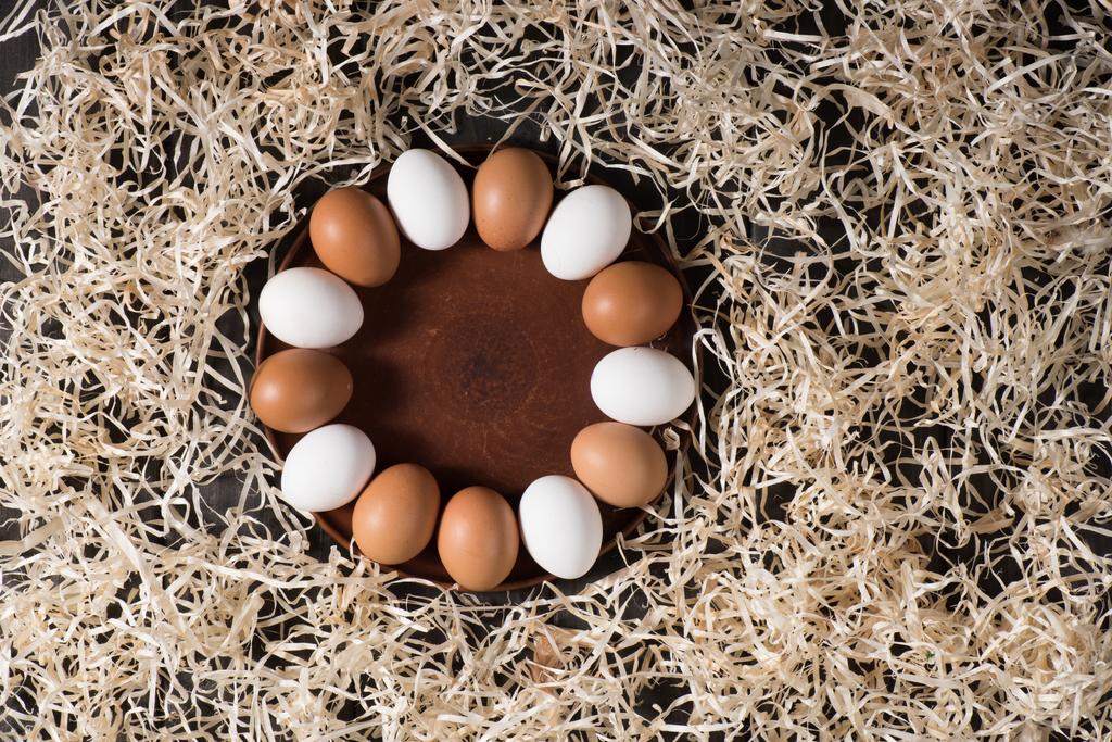 αυγά κοτόπουλο στο πιάτο  - Φωτογραφία, εικόνα