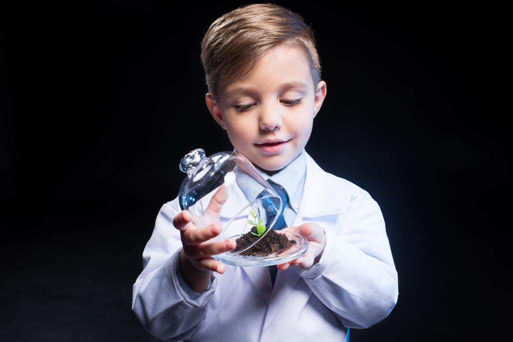 Little boy holding plant - Photo, Image