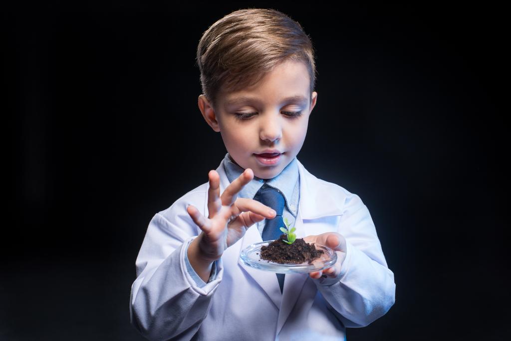 Malý chlapec hospodářství rostlina - Fotografie, Obrázek
