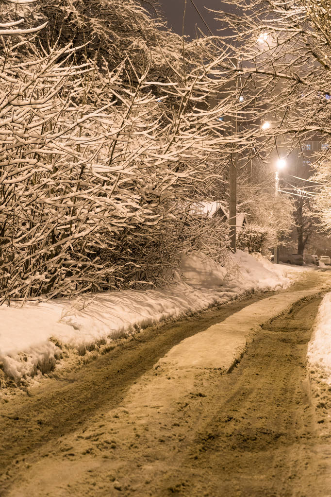 Sakin bir sokakta karla kaplı yolda - Fotoğraf, Görsel