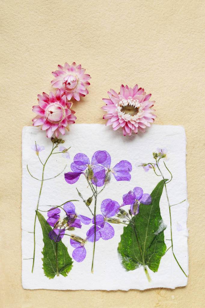Αποξηραμένα τα πιεσμένα λουλούδια σας σε χαρτί εκλεκτής ποιότητας φόντο - Φωτογραφία, εικόνα