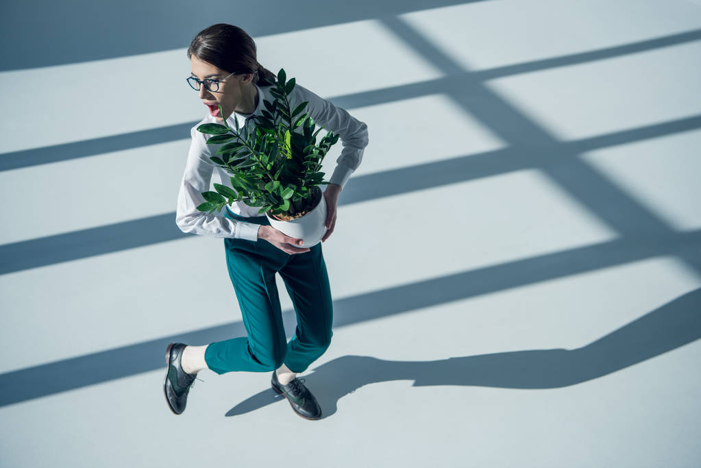 hipster donna in camicia bianca con pianta
 - Foto, immagini