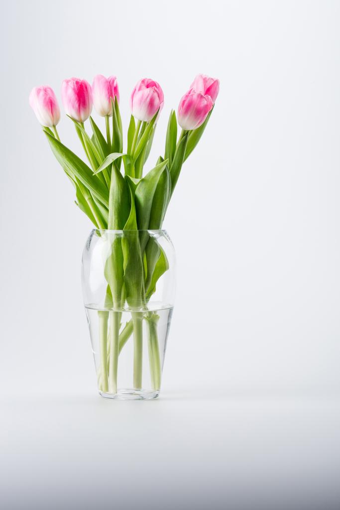 Tulipanes rosados en jarrón
 - Foto, imagen
