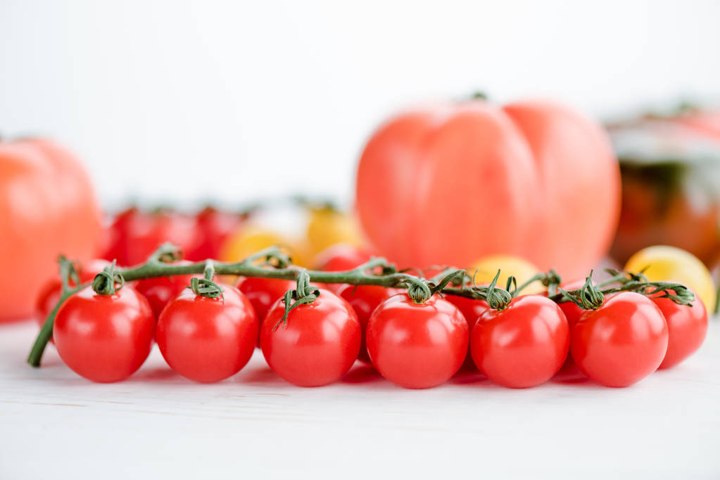 Fresh ripe tomatoes     - Photo, Image