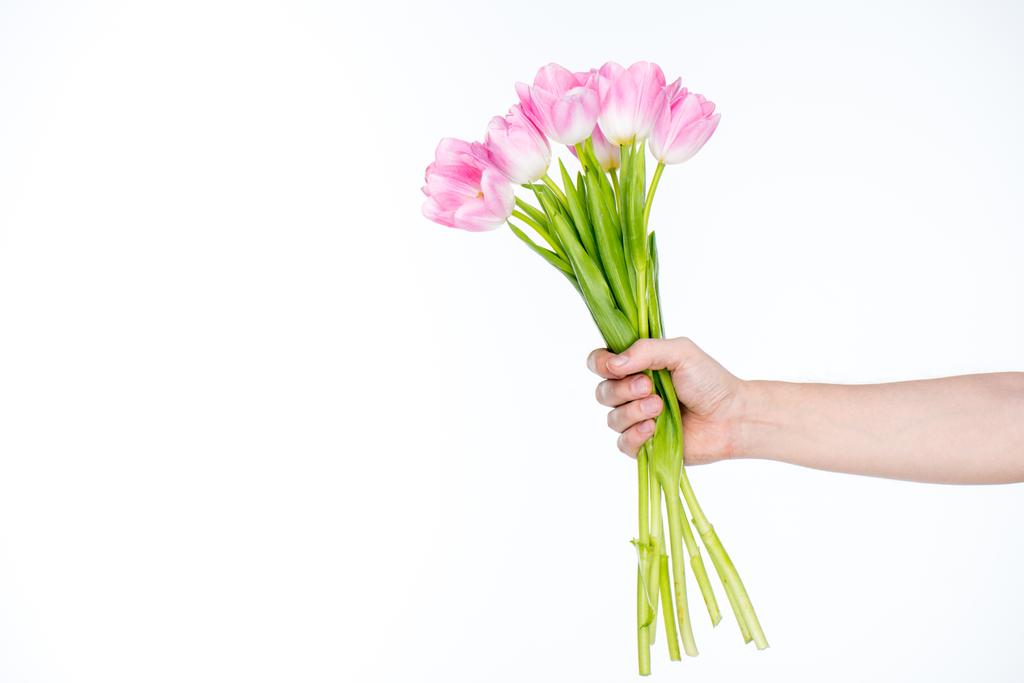 букет тюльпанів в жіночій руці
 - Фото, зображення