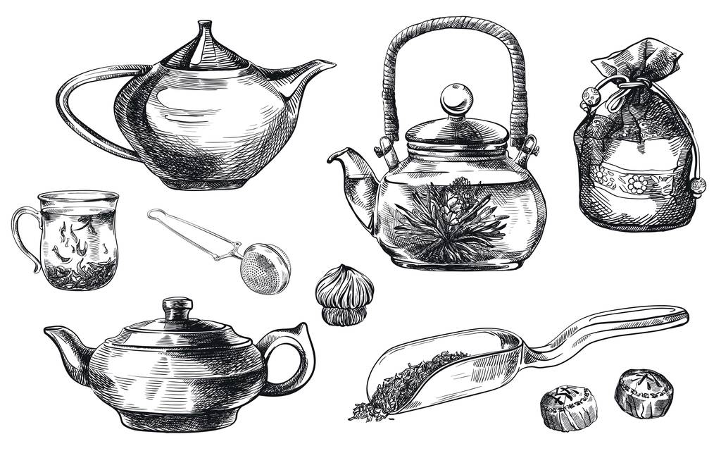 tea-pu-erh. gyűjteménye vektor vázlatok - Vektor, kép