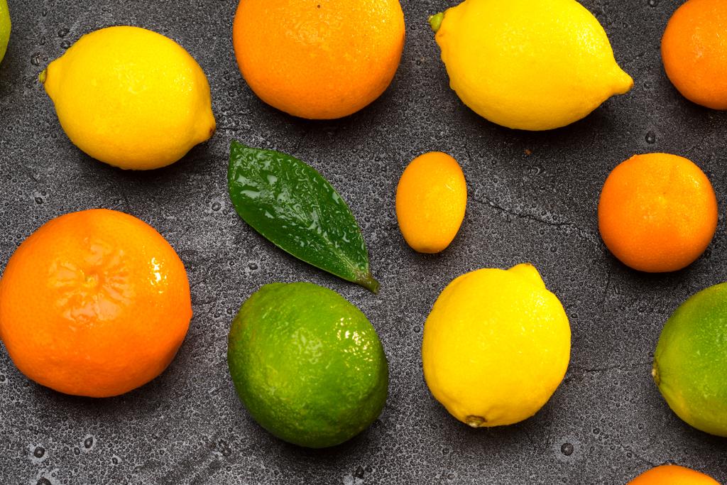 fresh citrus fruits - Photo, Image