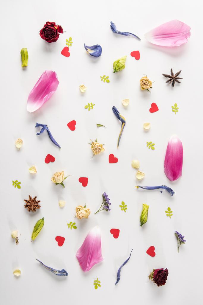 різноманітність квітів і трав
 - Фото, зображення