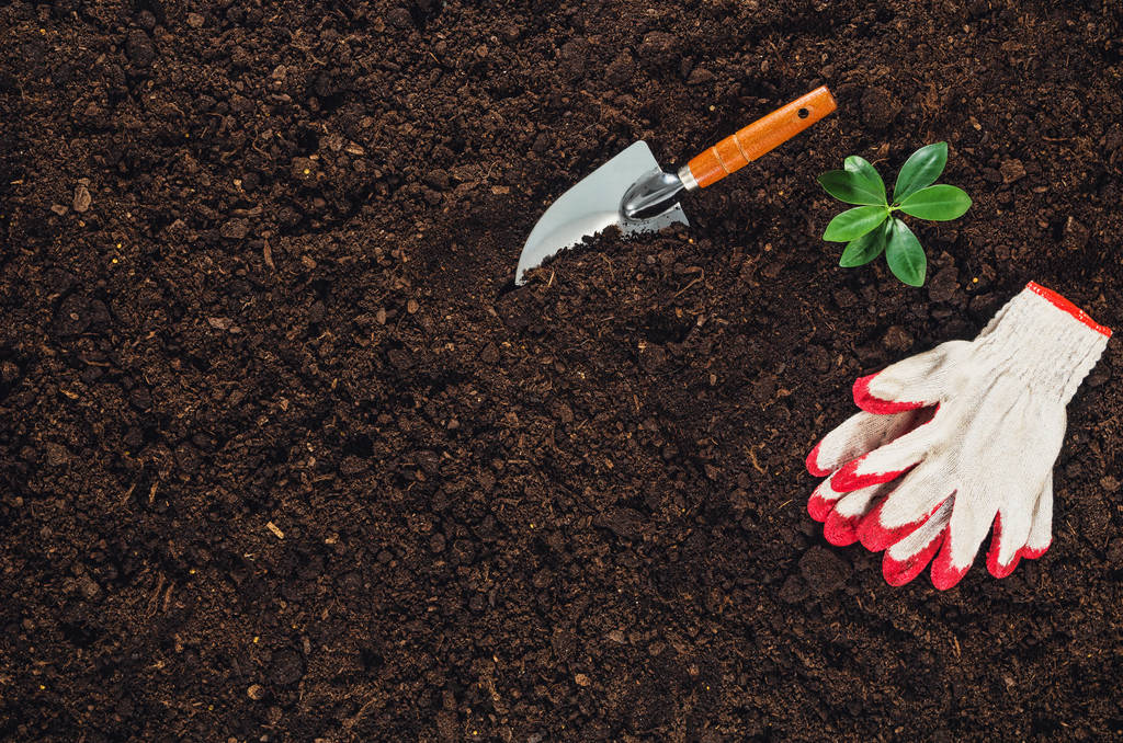 Puutarhanhoito työkalut puutarhassa maaperän rakenne tausta ylhäältä
 - Valokuva, kuva