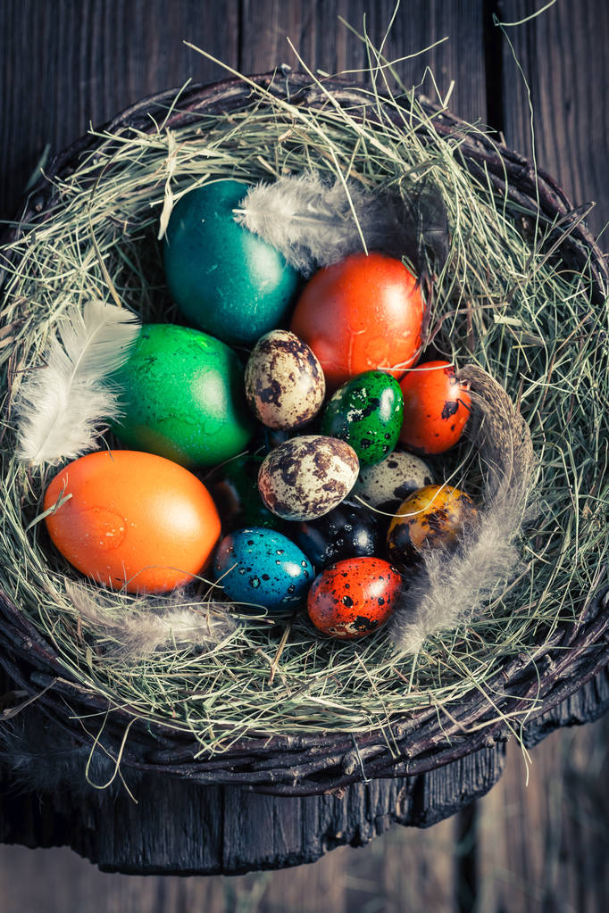 Ορτύκια και κότα Πασχαλινά αυγά στο αγροτικό εξοχικό σπίτι - Φωτογραφία, εικόνα