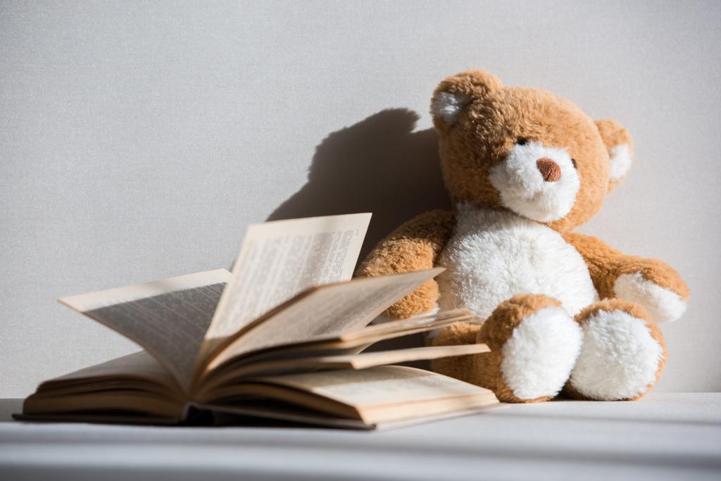 Teddy Beer en boek - Foto, afbeelding