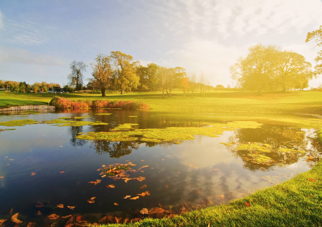 pole golfowe jezioro w Irlandii Las Krajobraz - Zdjęcie, obraz