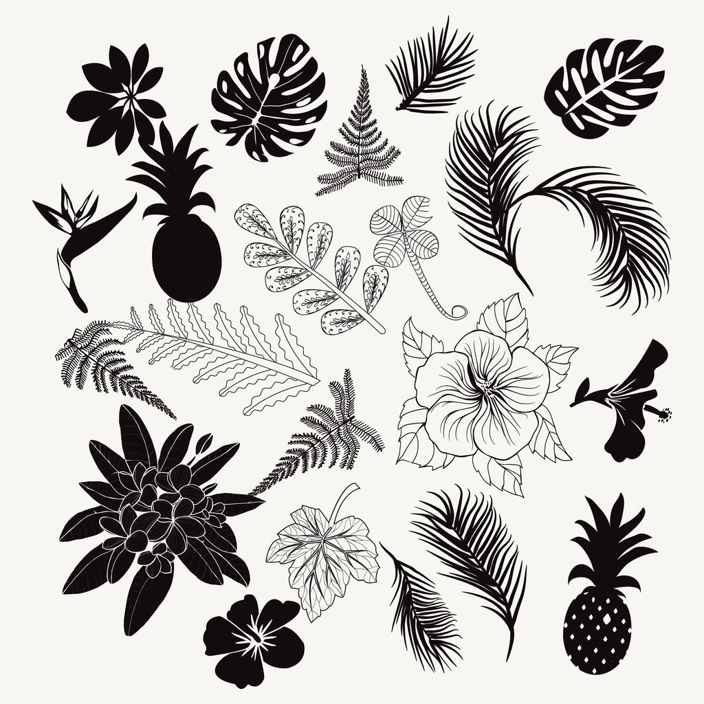 Векторная коллекция тропических растений, листьев и цветов
 - Вектор,изображение