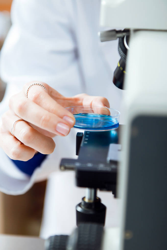 Молода жінка дивиться через мікроскоп в лабораторії
. - Фото, зображення
