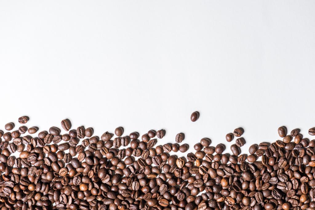 焙煎コーヒー豆  - 写真・画像