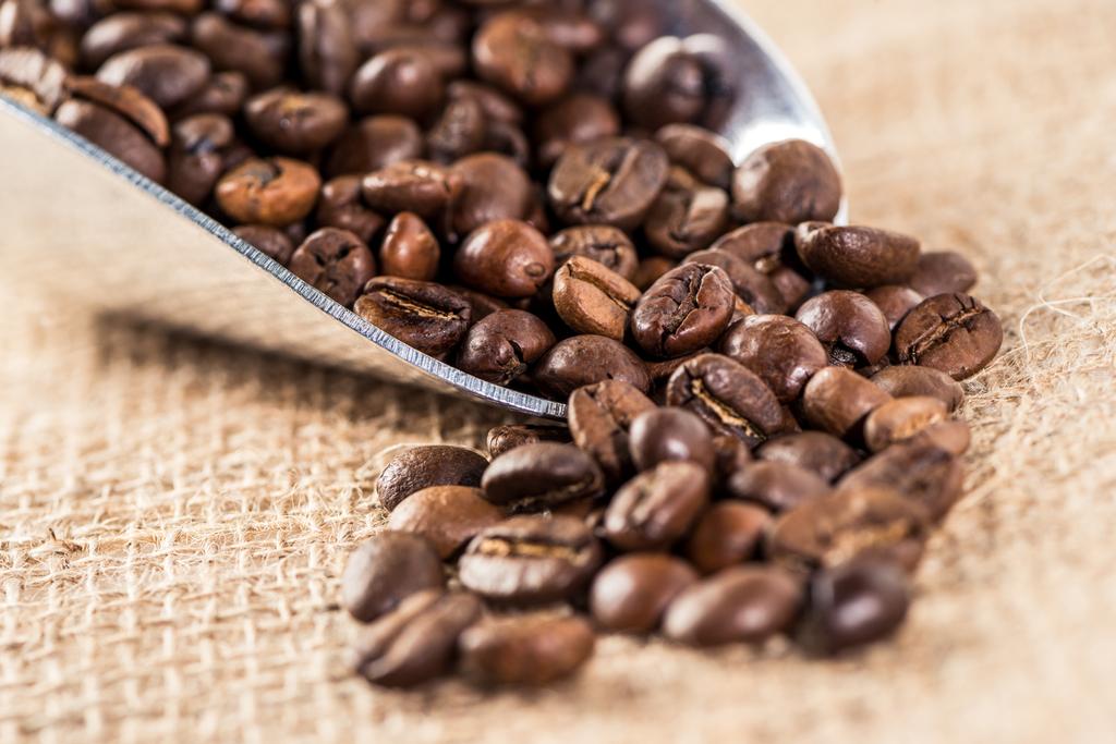 Granos de café aromáticos
 - Foto, imagen