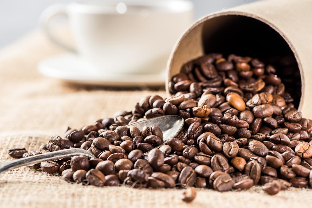 Granos de café aromáticos
 - Foto, imagen