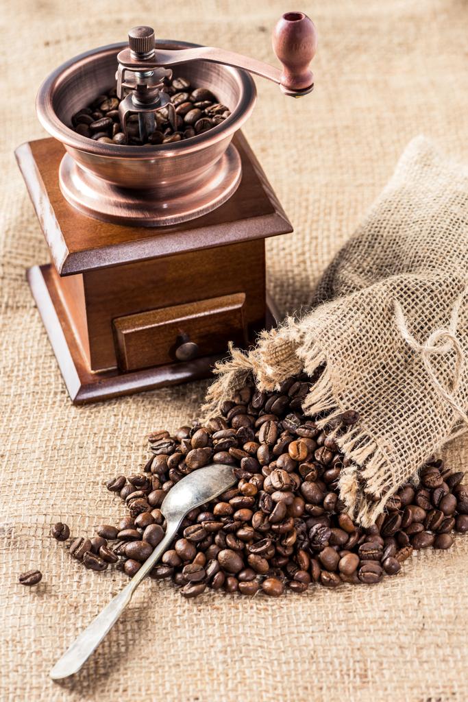 Coffee mill with coffee beans - Photo, Image