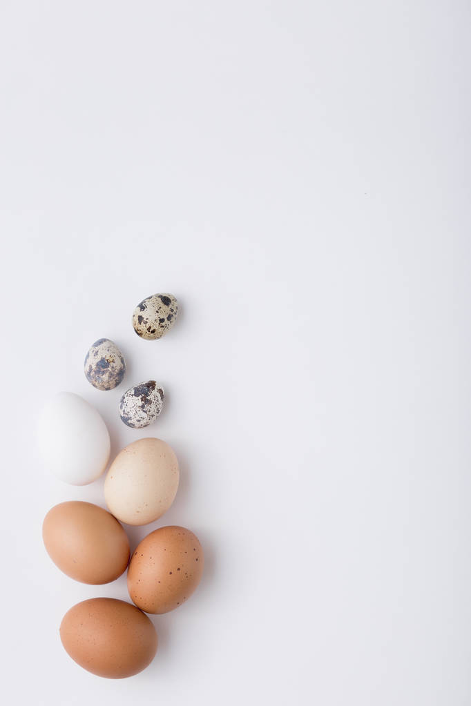 Kippenei, kwartel ei. Pasen. Geïsoleerde witte achtergrond. - Foto, afbeelding