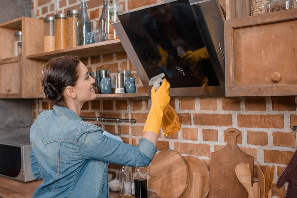 housewife cleaning tv set - Photo, Image