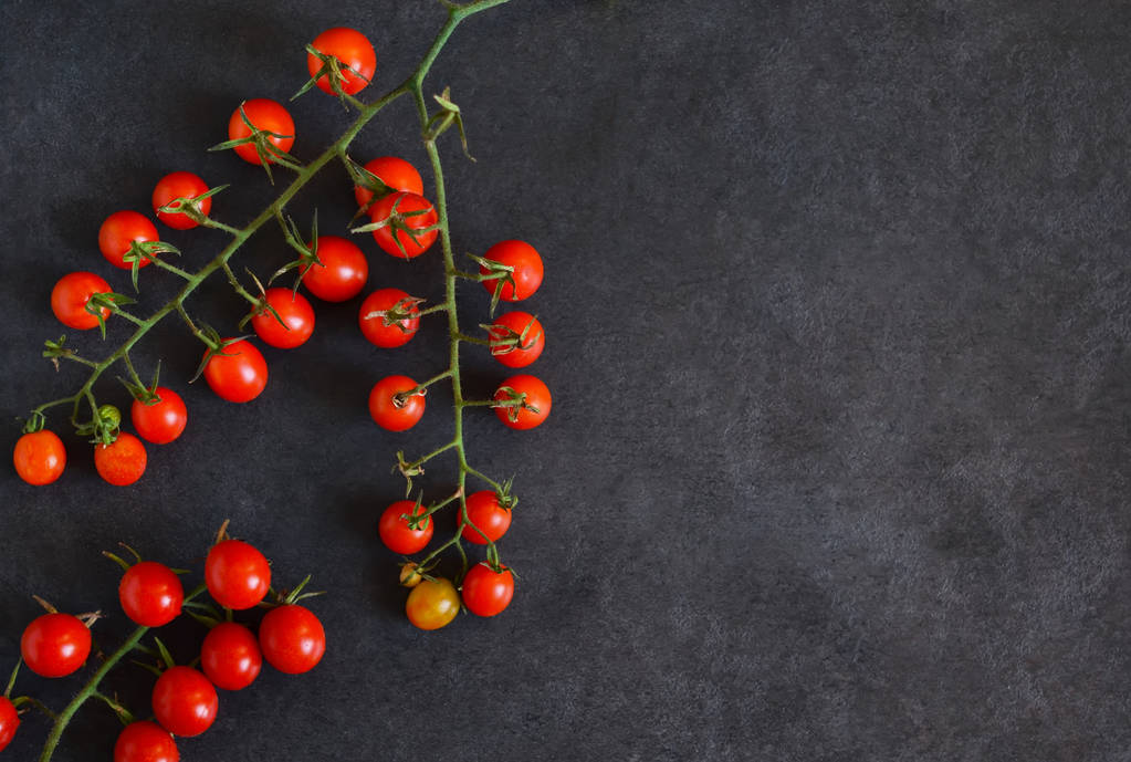 Ramo de tomates cherry sobre un fondo negro
 - Foto, imagen