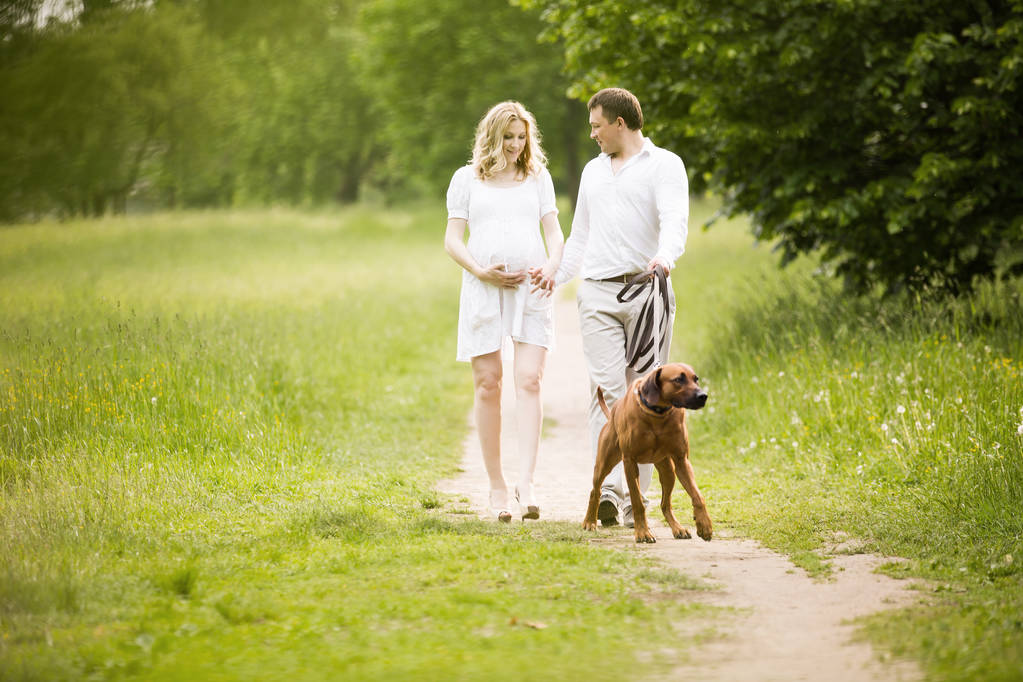 щаслива пара майбутніх батьків на прогулянці з собакою в парку
 - Фото, зображення