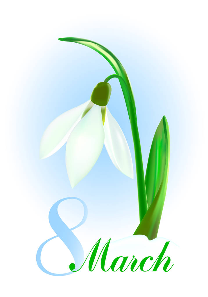 Весняний фон зі сніжною квіткою
 - Вектор, зображення