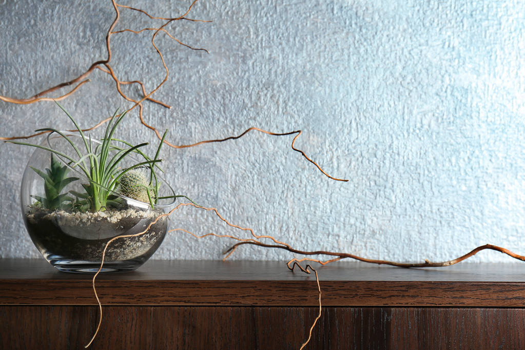 Succulents ve kaktüs ile Florarium - Fotoğraf, Görsel