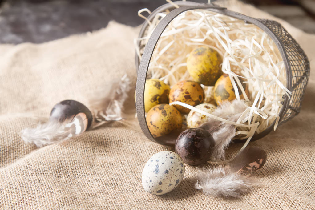 Çok renkli Paskalya yumurtası. Bıldırcın yumurtası tüylü sepet içinde. Da - Fotoğraf, Görsel