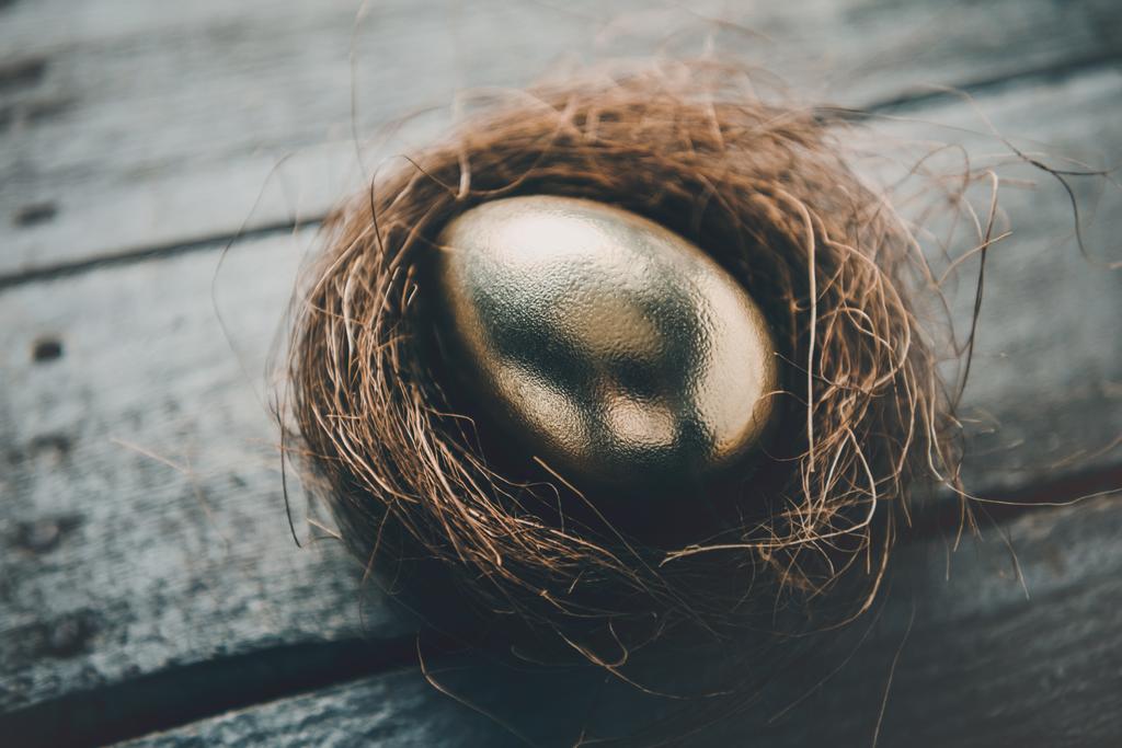 Золоте пасхальне яйце в гнізді
  - Фото, зображення