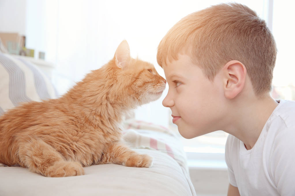Μικρό αγόρι με χαριτωμένο γάτα στο σπίτι - Φωτογραφία, εικόνα