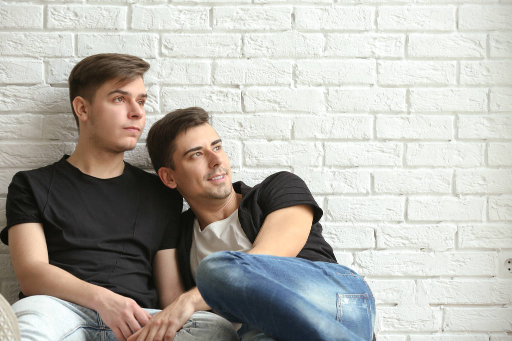 счастливая гей пара  - Фото, изображение