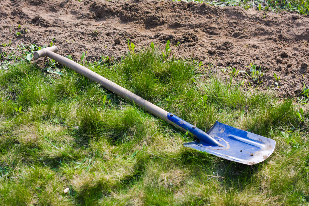 Blue shovel on a green grass close up, spring works - Photo, Image