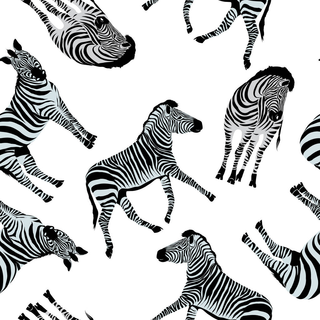Nahtloses Zebra-Muster - Vektor, Bild