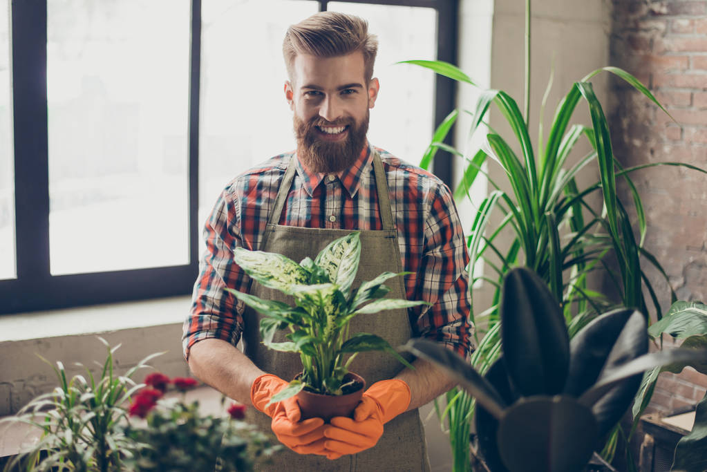 Счастливый красивый флорист с рыжей бородой, держащий растение
  - Фото, изображение