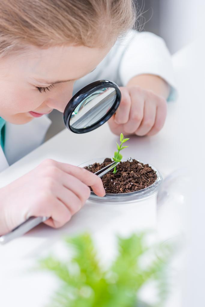 Meisje met groene plant in lab  - Foto, afbeelding