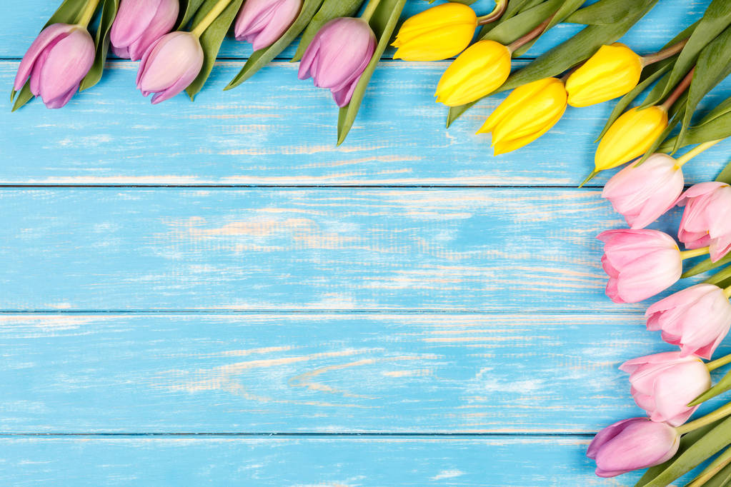 Kilka żółte i różowe tulipany na niebieskim tle drewnianych. - Zdjęcie, obraz