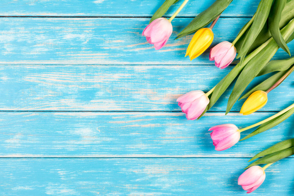 Fa kék alapon rózsaszín és sárga tulipánok. - Fotó, kép