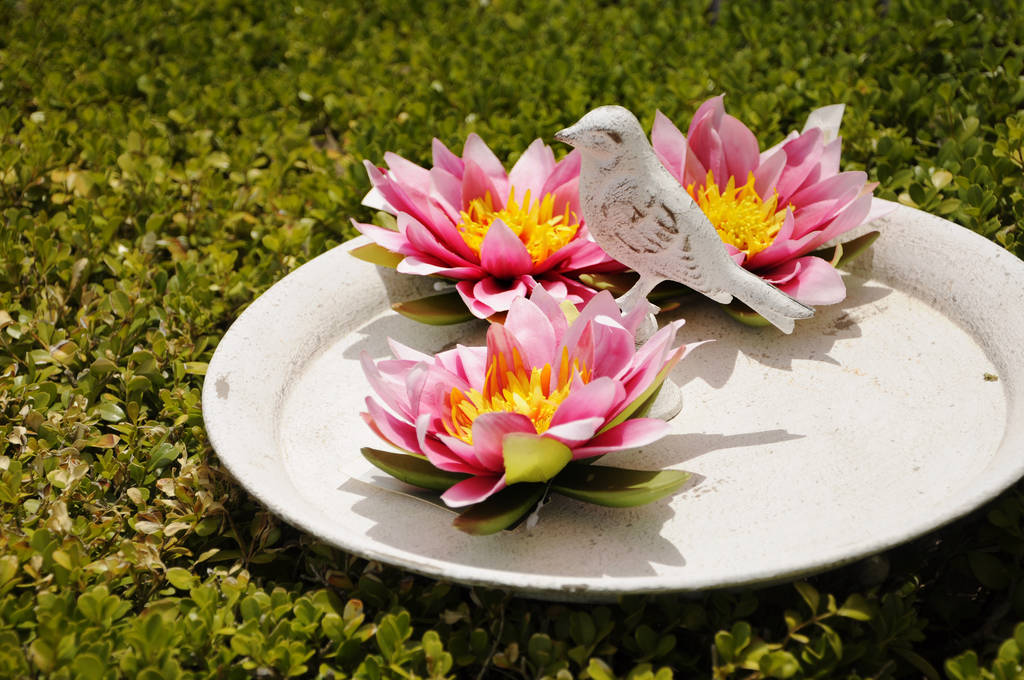 plastic lotus flowers - Photo, Image