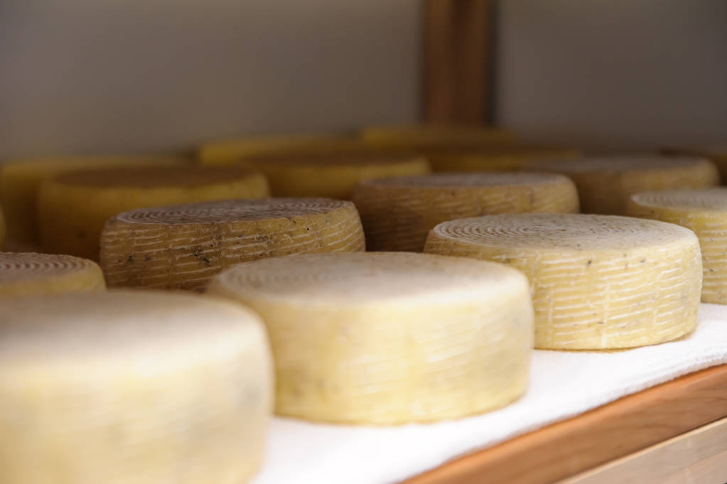 formaggio al caseificio, il formaggio è stagionato su scaffali di legno
 - Foto, immagini