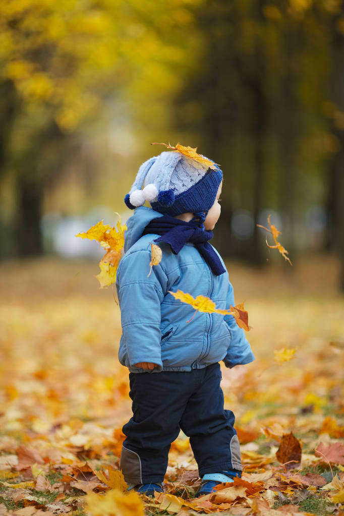 Sonbahar parkında küçük sevimli bir çocuk. - Fotoğraf, Görsel