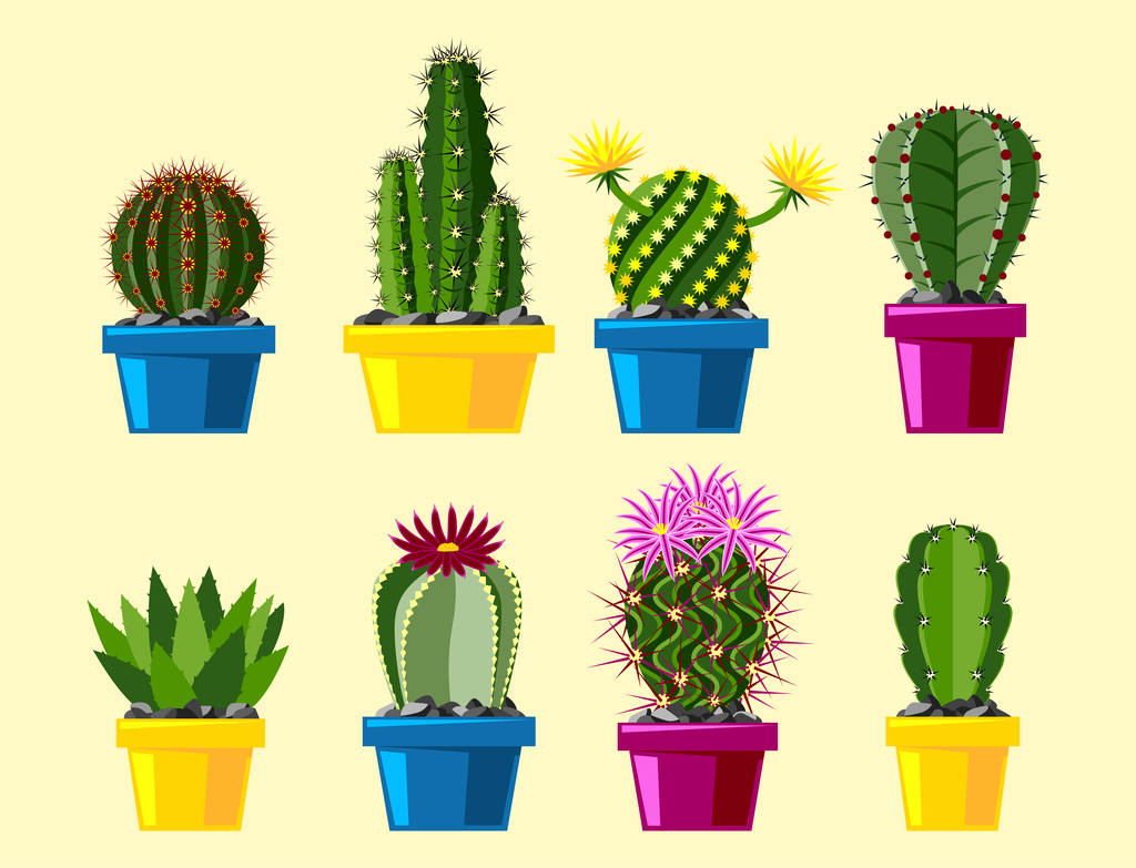 Kaktus plochý přírodní pouštní květina zelená karikatura kreslení grafických mexické sukulentní a tropických rostlin zahradního umění kaktusy květinové vektorové ilustrace. - Vektor, obrázek