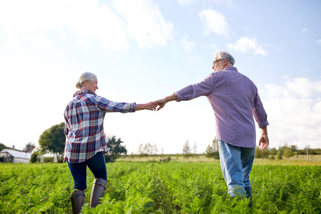счастливая пожилая пара, держась за руки на летней ферме - Фото, изображение