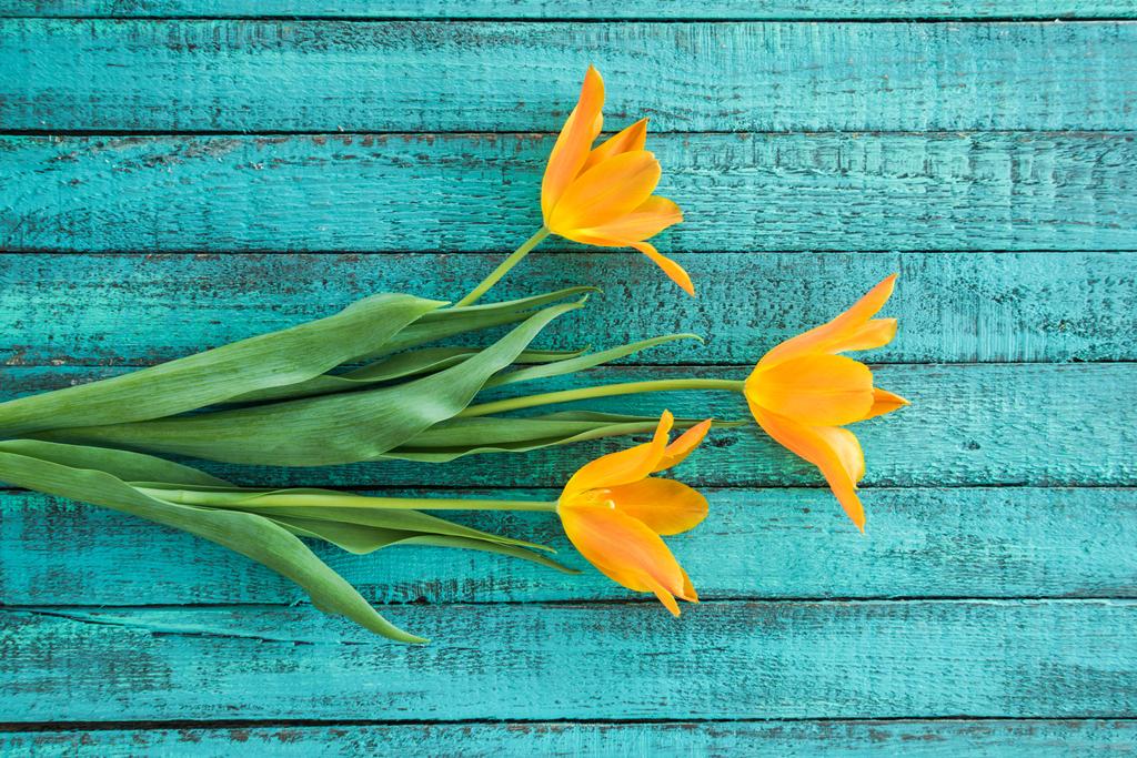 žluté tulipány kytice - Fotografie, Obrázek