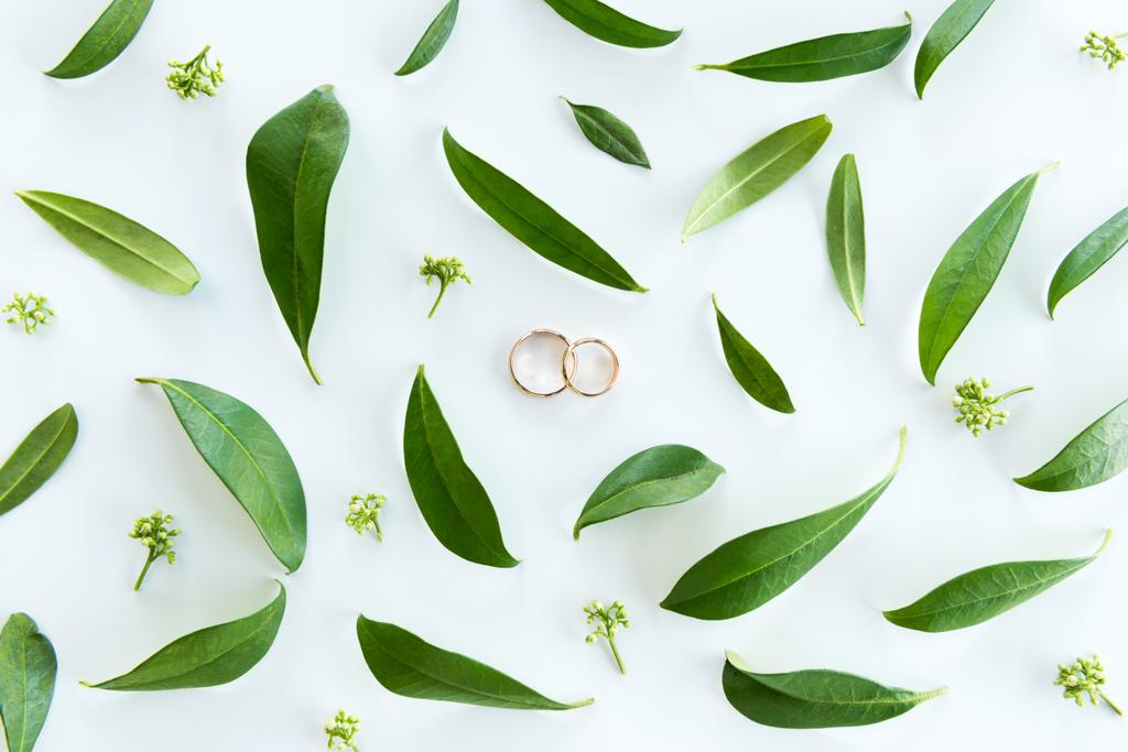 Wedding rings and green leaves - Photo, Image