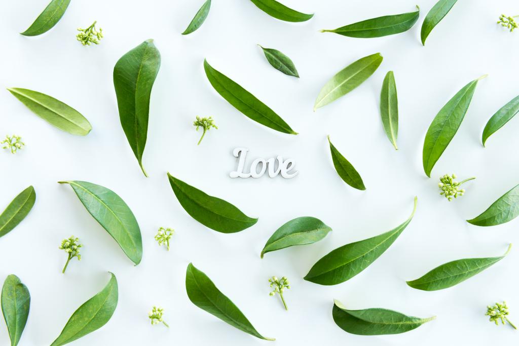 Groene bladeren en symbool van de liefde - Foto, afbeelding