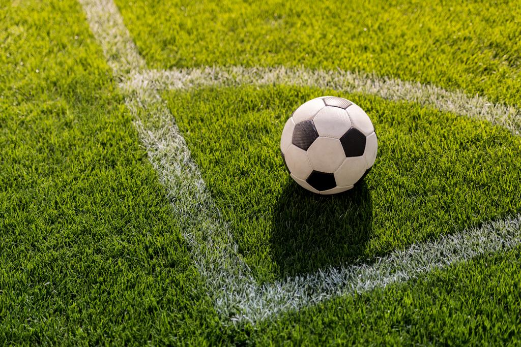 futbol topu çimlerin üzerinde - Fotoğraf, Görsel