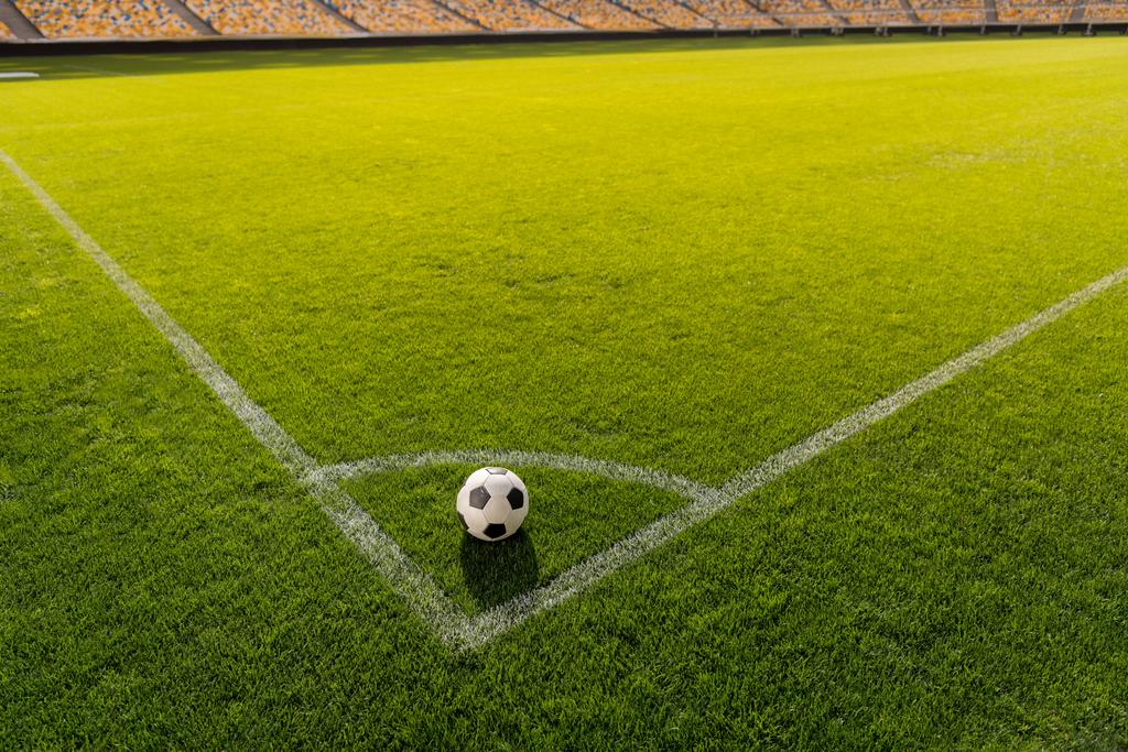Fußball auf Rasen - Foto, Bild