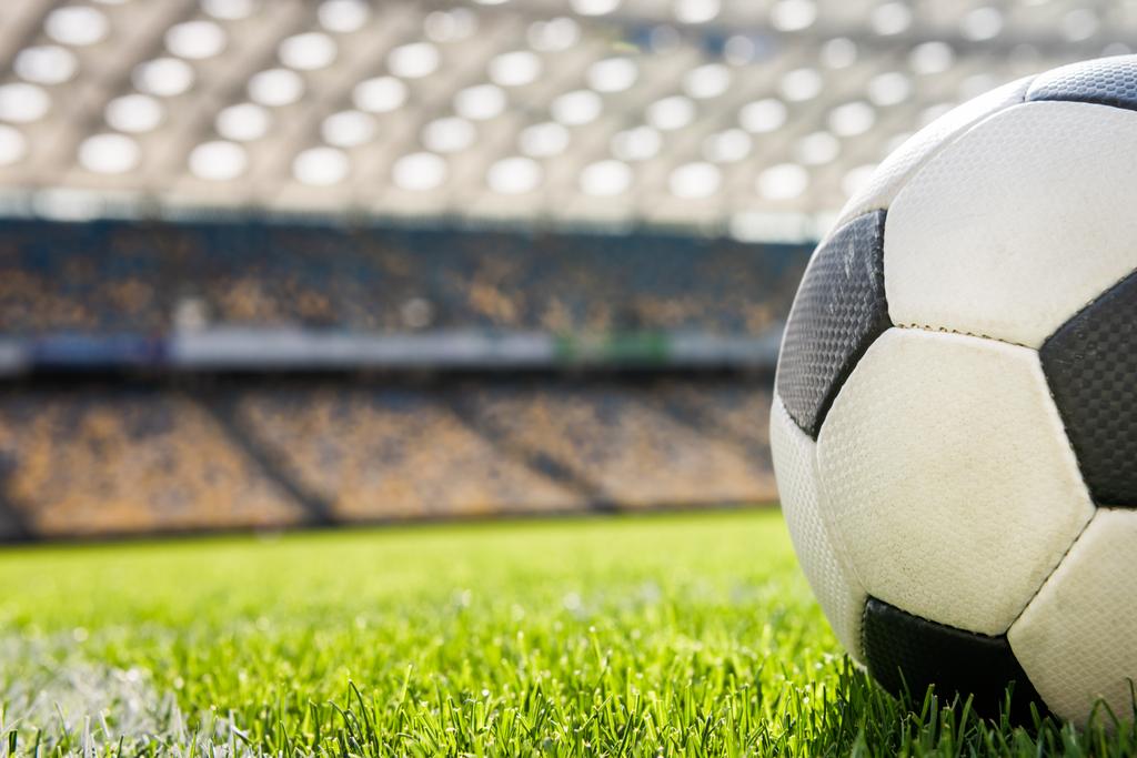 футбольний м'яч на траві
 - Фото, зображення